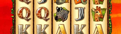 Body-The-Wild-Life-Wildest-Animal-Themed-Slots icon